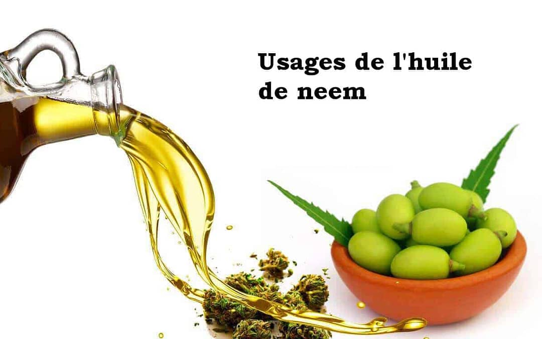 5 utilisations de l’huile de neem