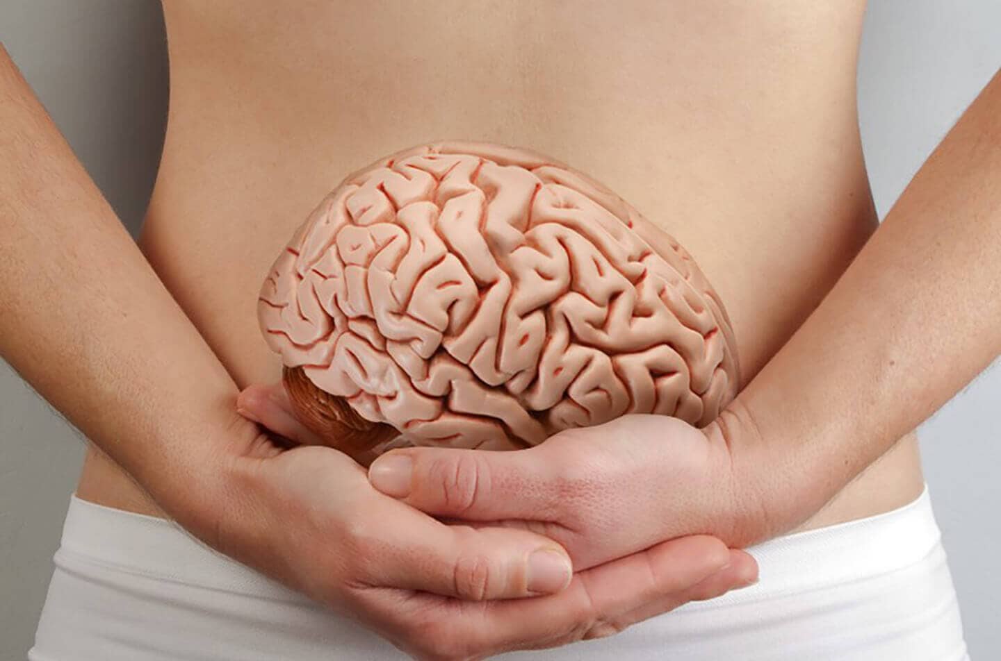 9800 études scientifiques confirment le principe de base de la naturopathie : la santé passe par le ventre ! Ce “petit” cerveau communique en permanence avec le “grand” qui est dans notre tête. On estime que 90 % des maladies ont un lien avec des perturbations de la flore intestinale (microbiote).