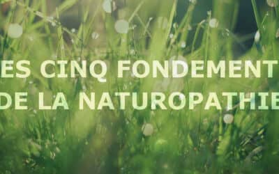 Les cinq fondements de la naturopathie