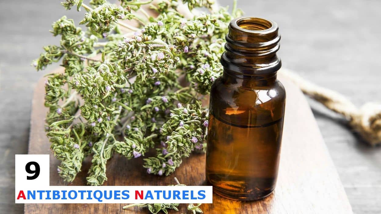 Les aliments et les herbes aux propriétés antibiotiques peuvent nous aider à maintenir notre santé et à combattre les infections bactériennes dans leurs premiers stades.