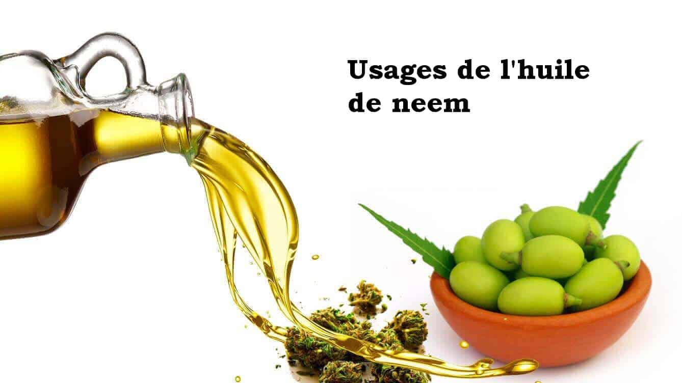 5 façon super efficaces d'utiliser l'huile de neem dans votre quotidien