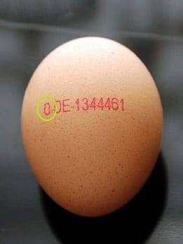 Naturoprathie Saviez vous que les œufs sont si bon pour la santé qu'ils sont recommandé par l'OMS (organisation mondiale de la société) et la FOA (Food and Agriculture Organization, des Nations unies) pour leurs protéines et leur apport en Oméga-3 ?