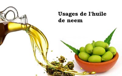 5 utilisations de l’huile de neem