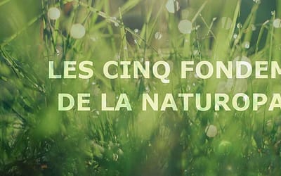 Les cinq fondements de la naturopathie