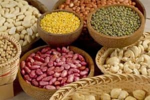 aliments riches en fibres alimentaires