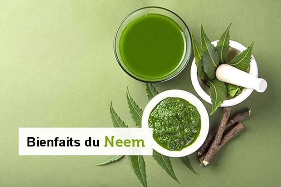 Le neem est bénéfique pour votre peau, vos cheveux, votre système immunitaire et plus encore.
